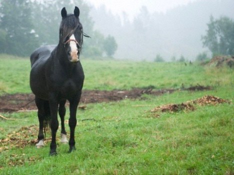 © Copyright 2014 CorbisCorporation